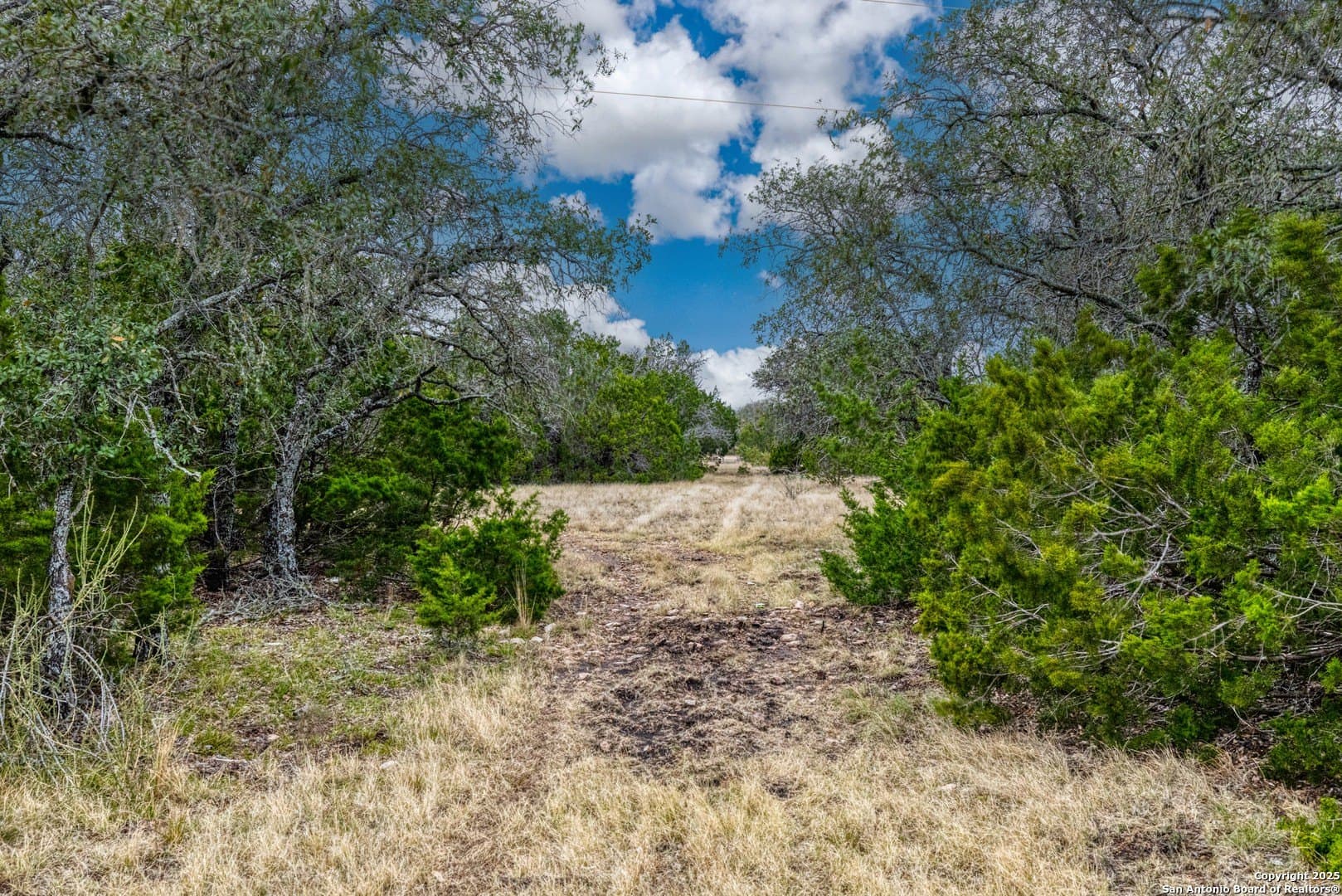 73.84 acres in Edwards County - photo 28