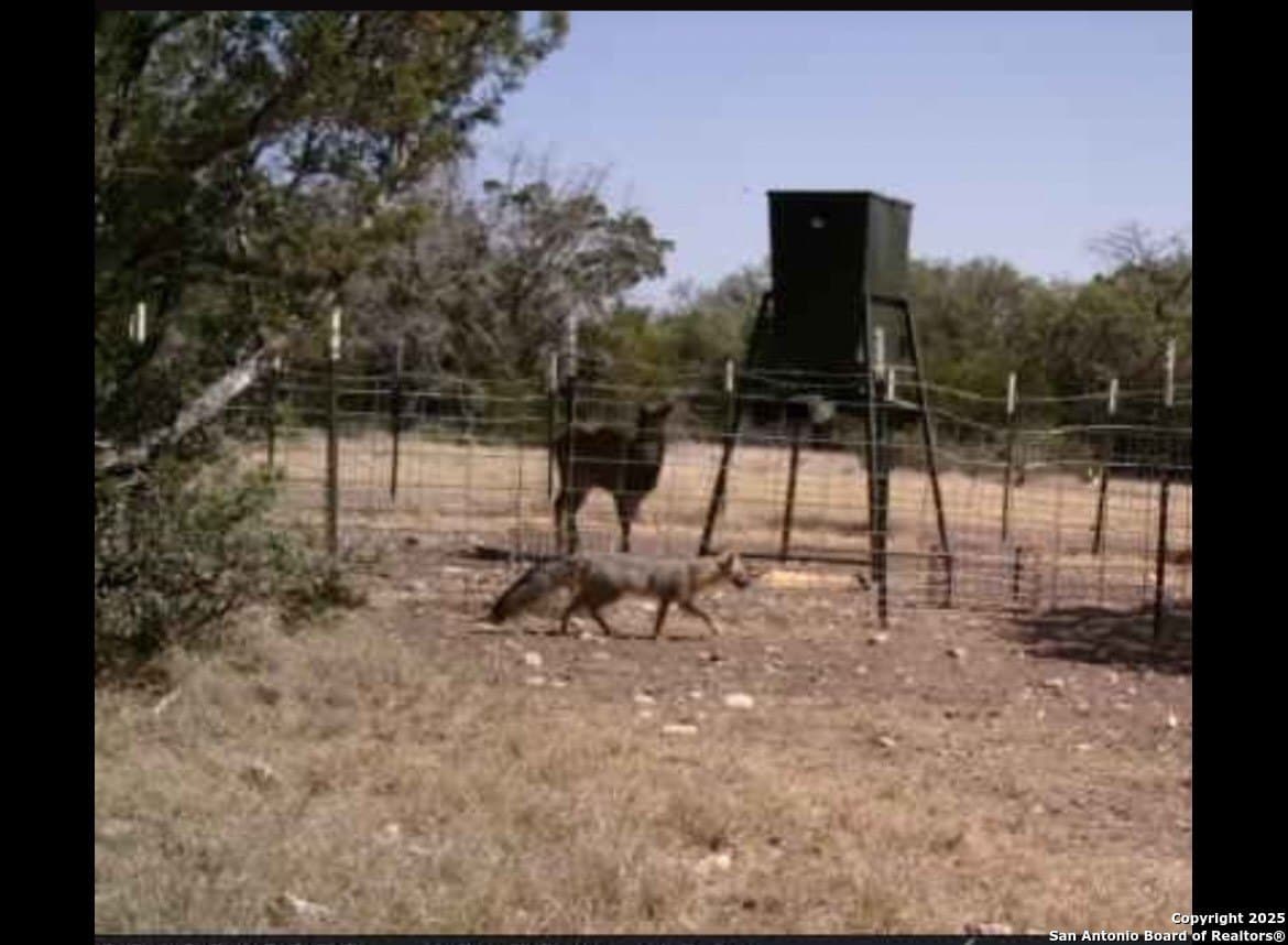 73.84 acres in Edwards County - photo 60