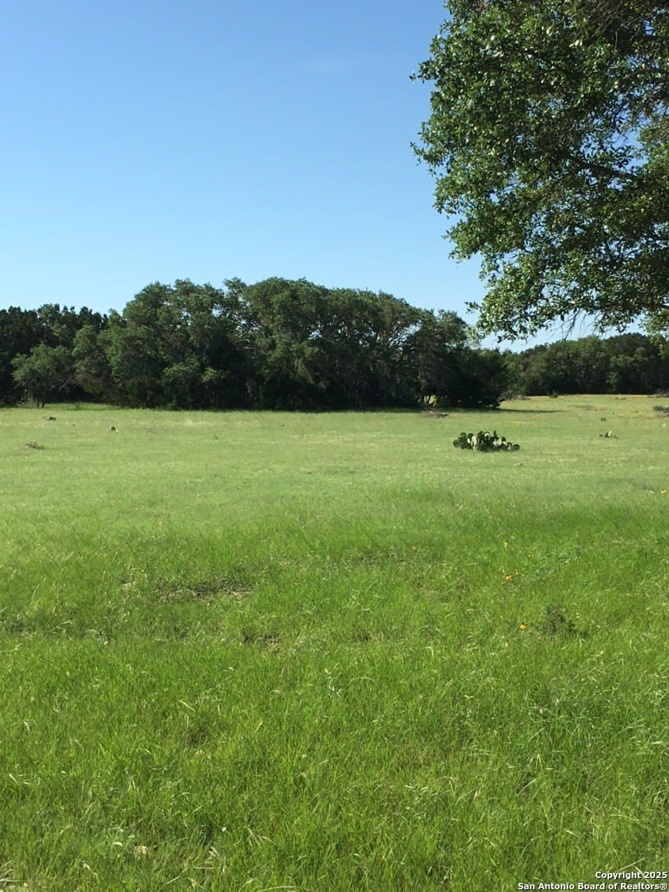 73.84 acres in Edwards County - photo 5