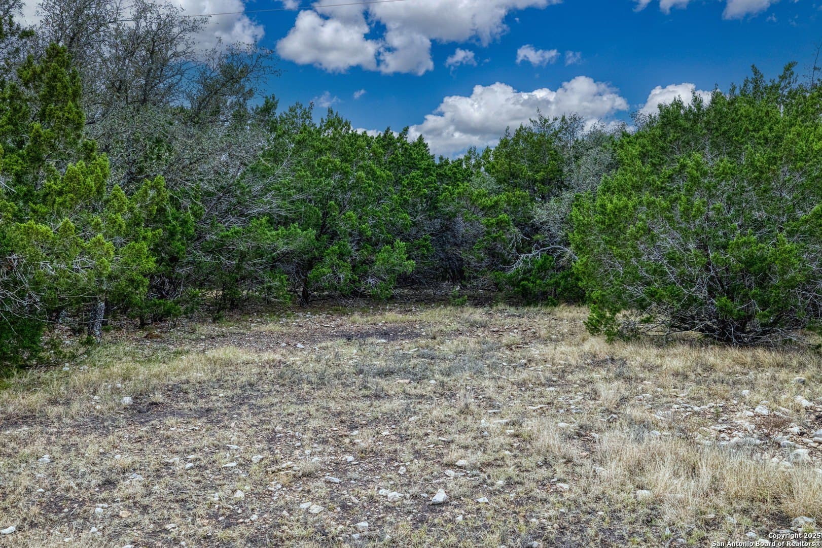 73.84 acres in Edwards County - photo 27
