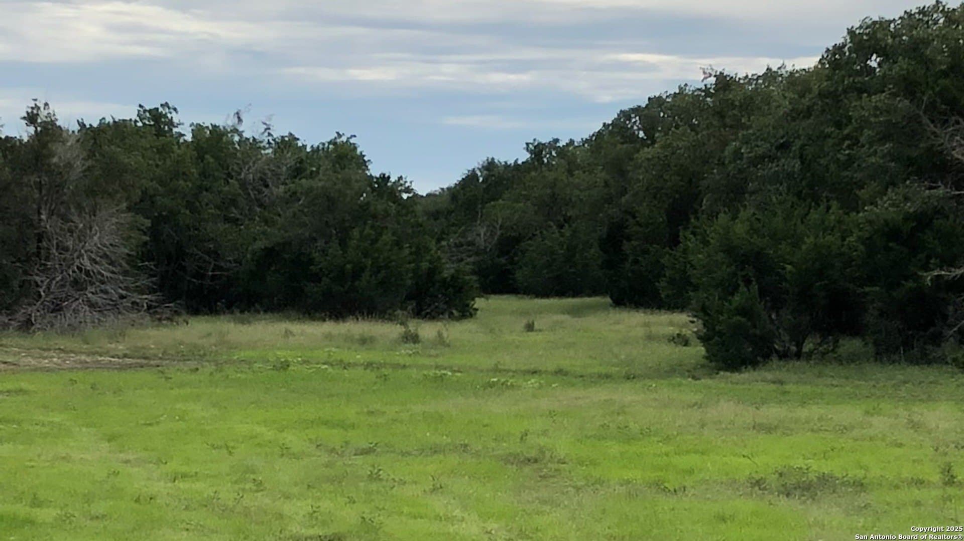 73.84 acres in Edwards County - photo 10