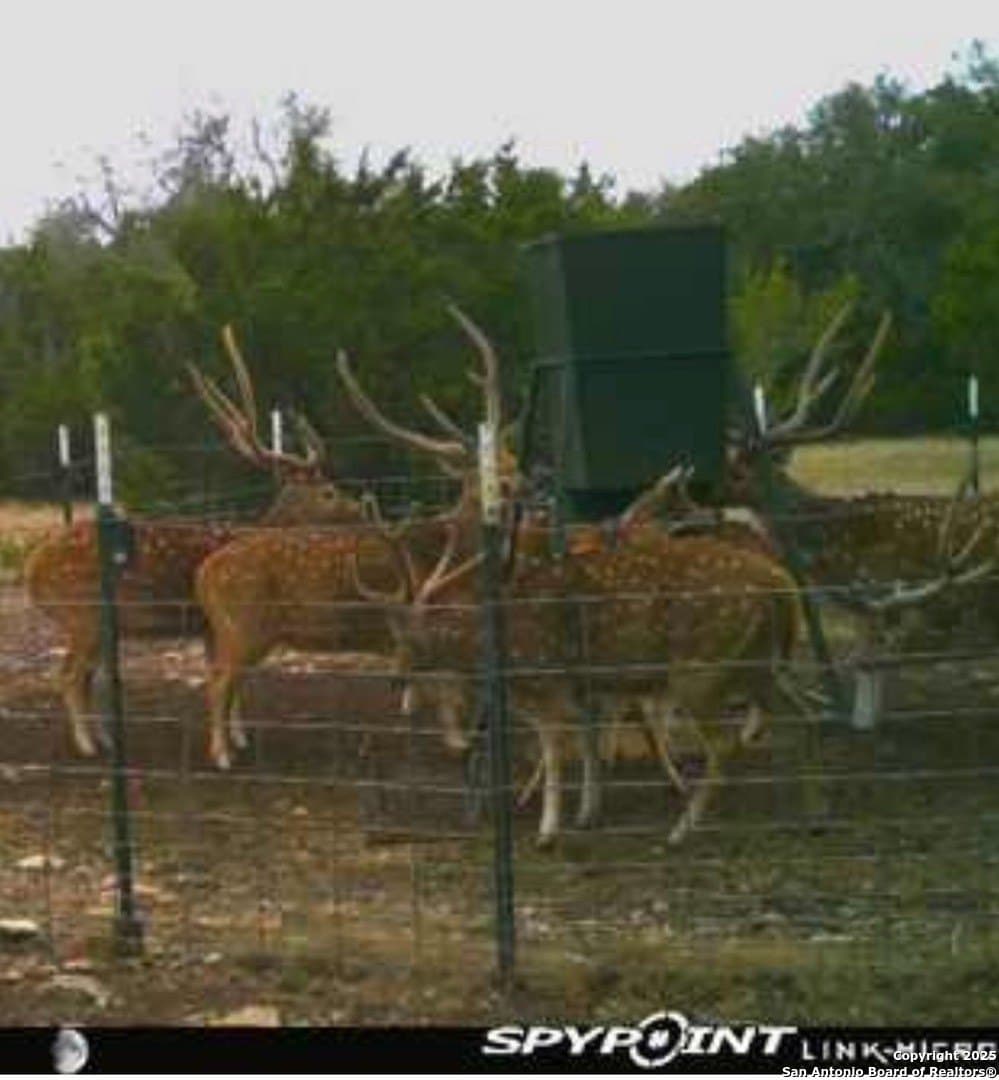 73.84 acres in Edwards County - photo 57