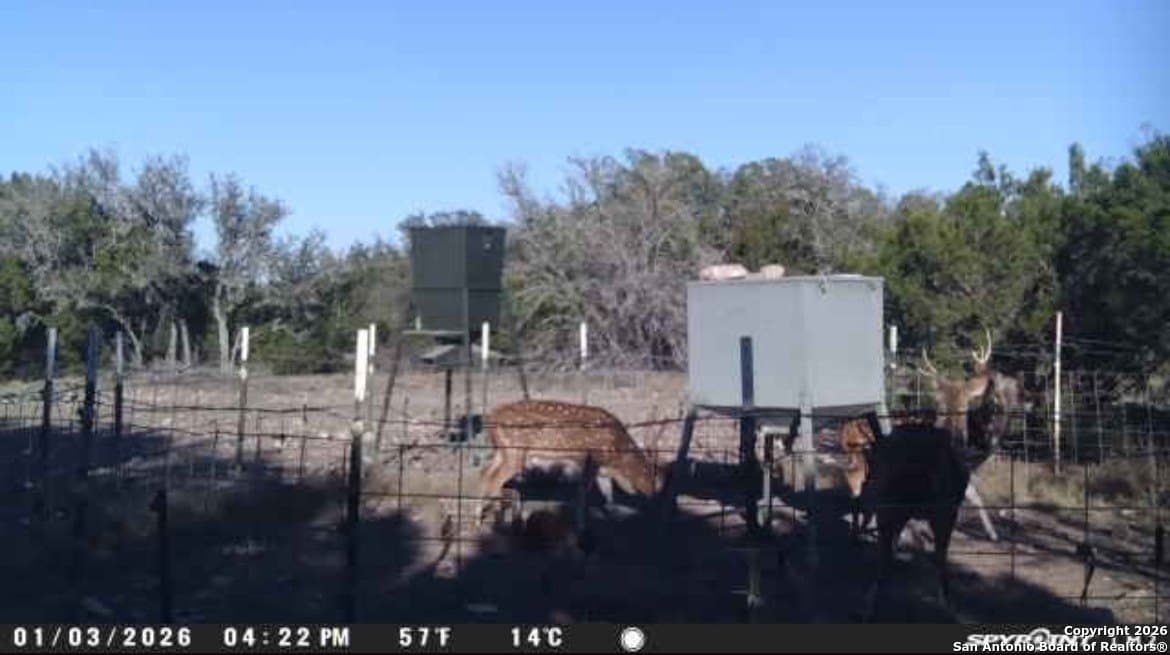 73.84 acres in Edwards County - photo 51