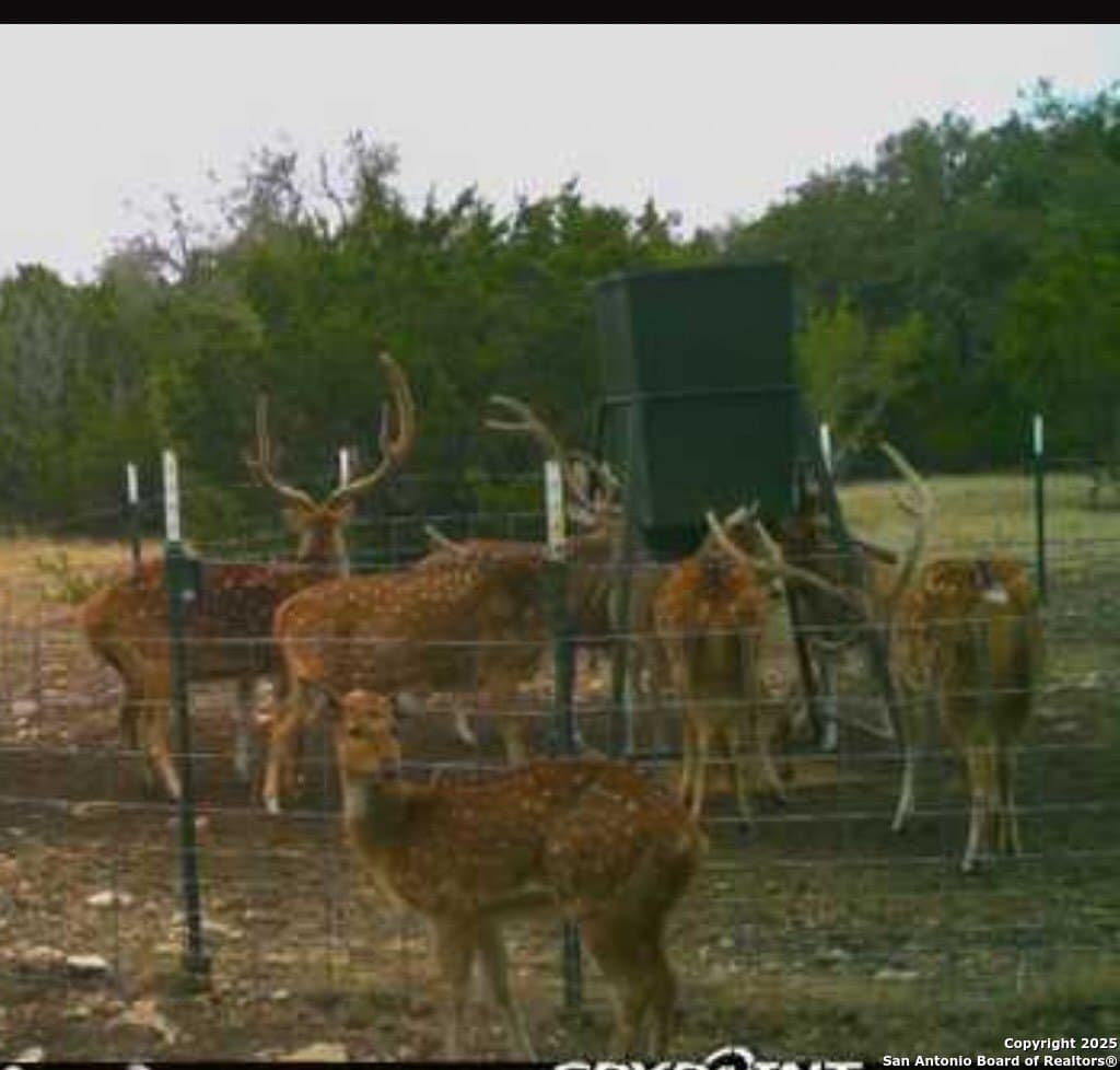 73.84 acres in Edwards County - photo 58