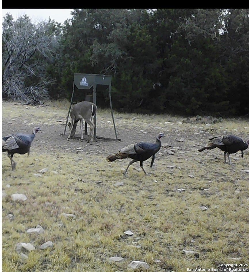 73.84 acres in Edwards County - photo 66