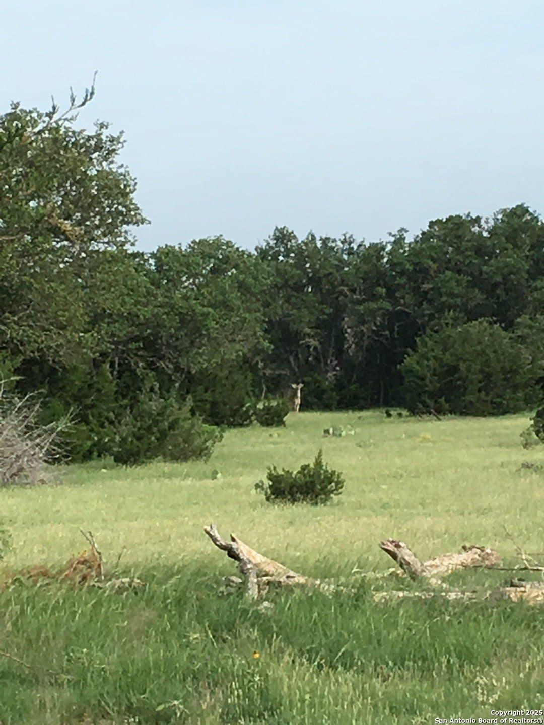 73.84 acres in Edwards County - photo 6