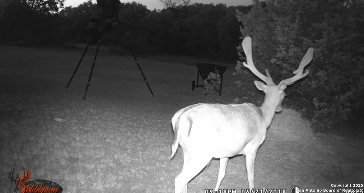 73.84 acres in Edwards County - photo 61