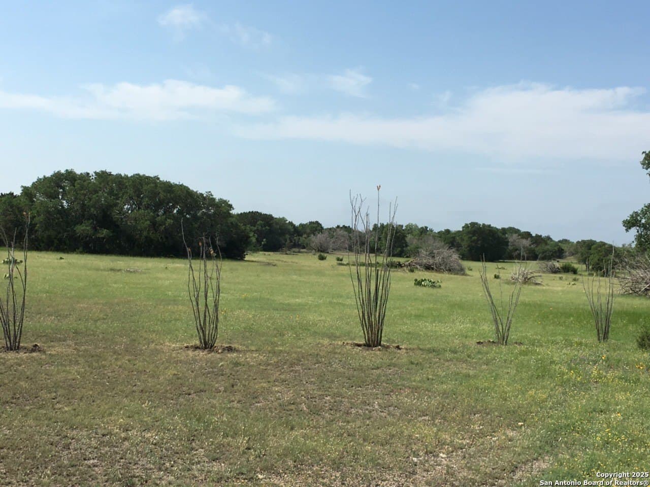 73.84 acres in Edwards County - photo 7