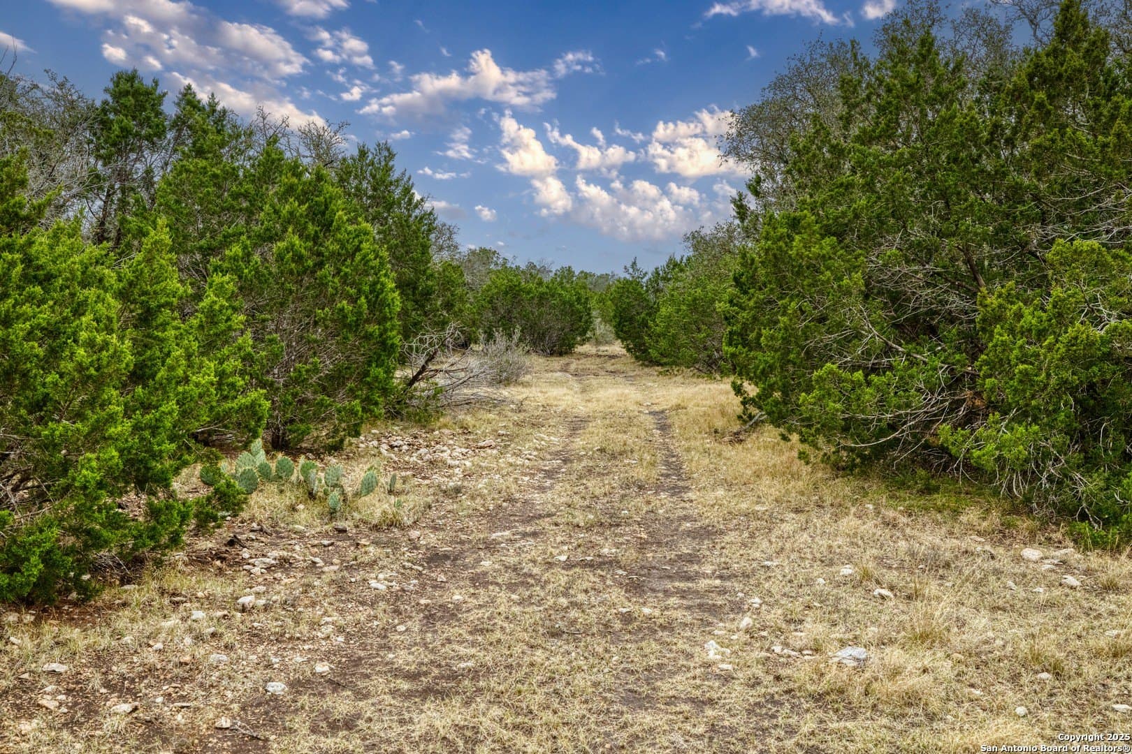 73.84 acres in Edwards County - photo 26