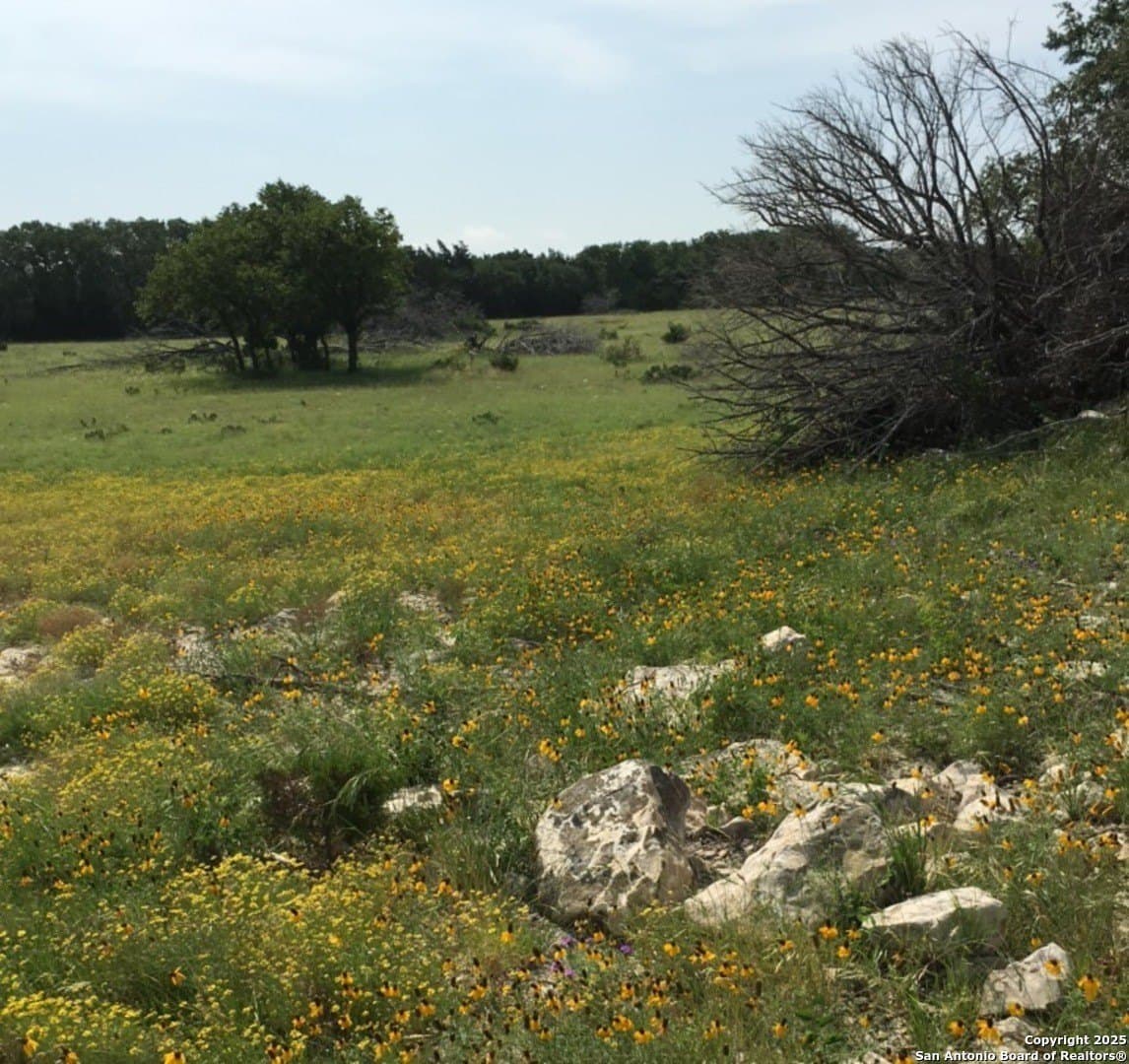 73.84 acres in Edwards County - photo 4