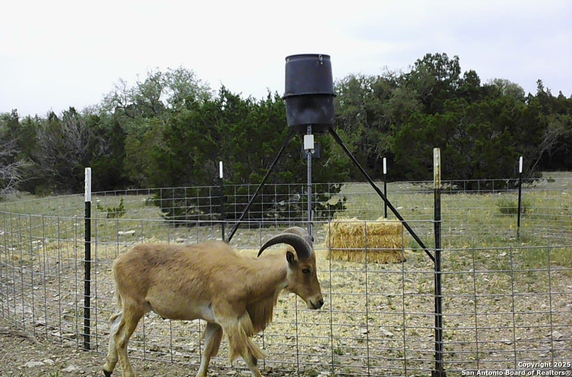 73.84 acres in Edwards County - photo 67
