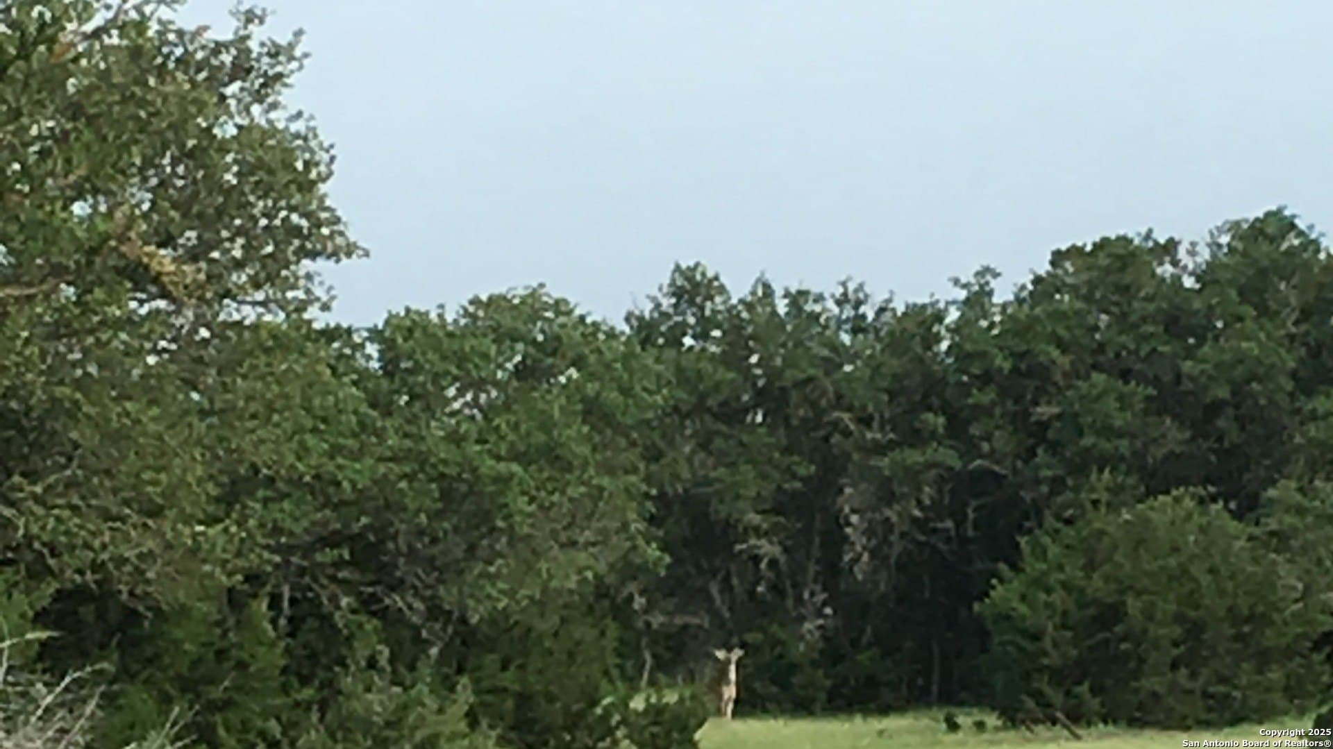 73.84 acres in Edwards County - photo 50