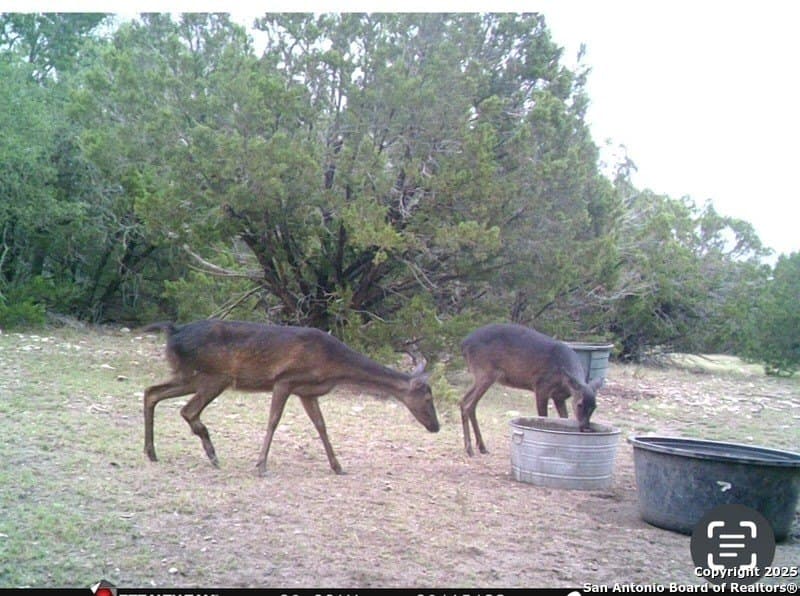 73.84 acres in Edwards County - photo 59