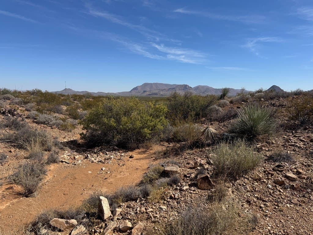 40 acres in Brewster County - photo 6