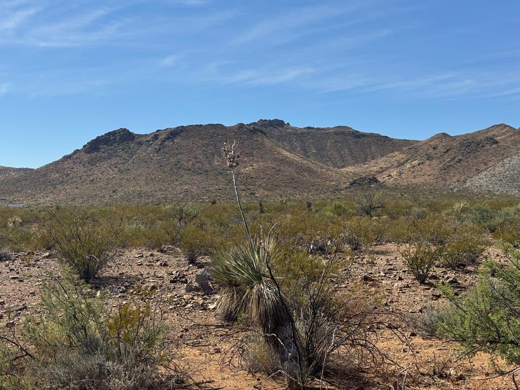 40 acres in Brewster County - photo 10