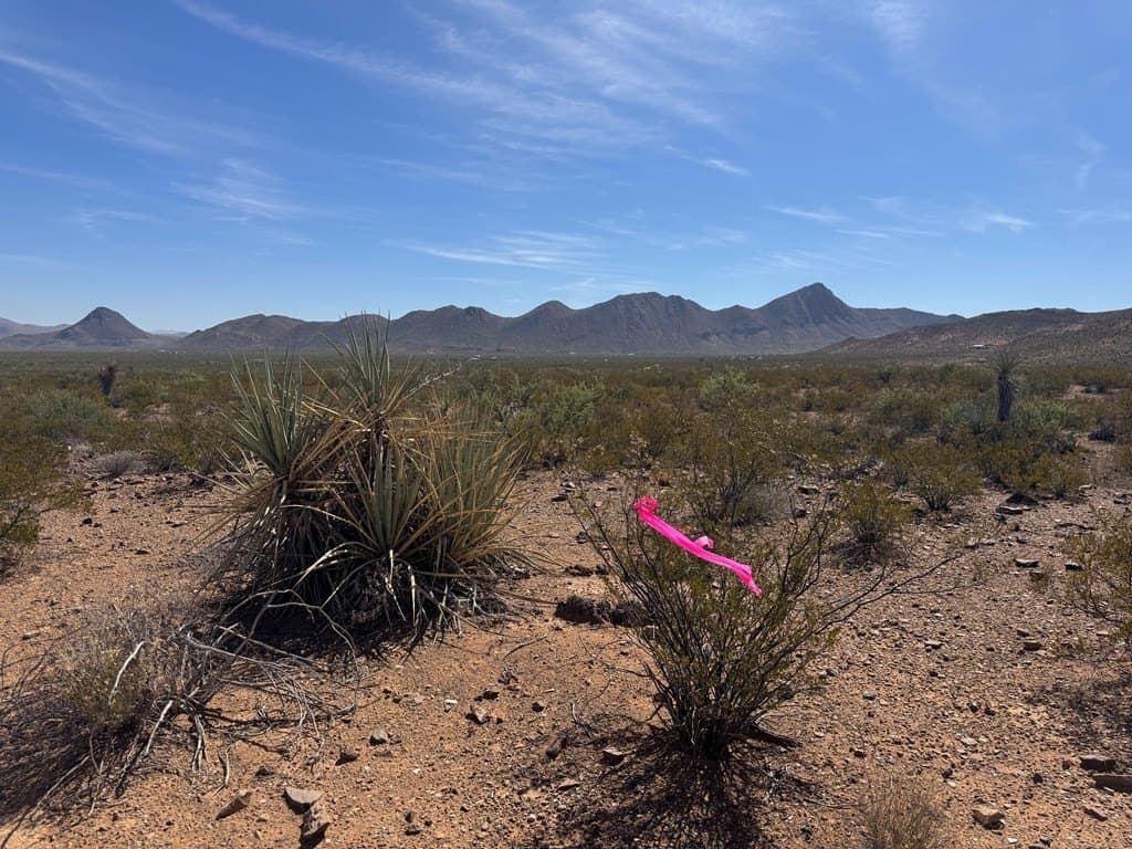 40 acres in Brewster County - photo 4