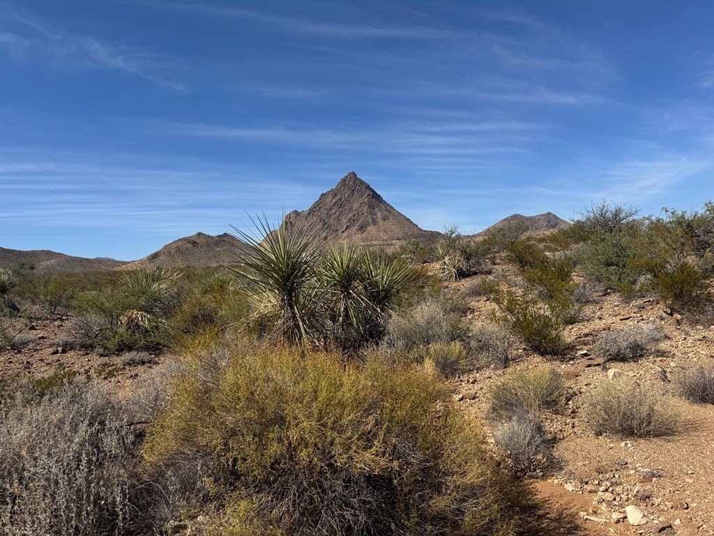 40 acres in Brewster County - photo 5