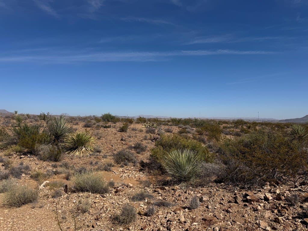 40 acres in Brewster County - photo 7