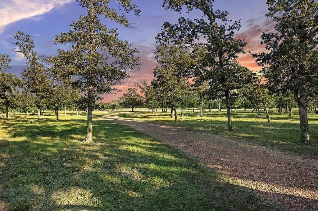59.07 acres in Fayette County - photo 28