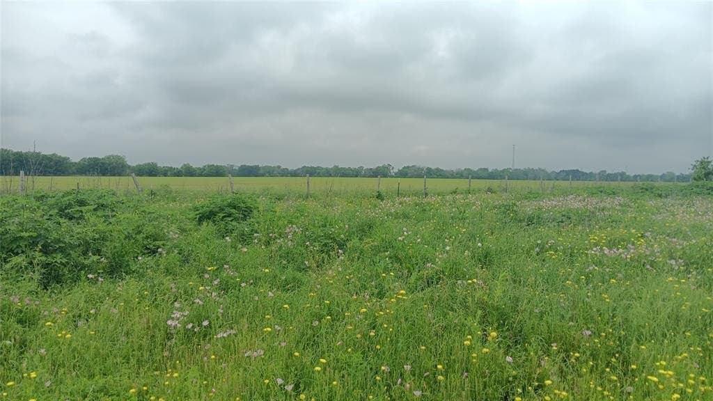 58.1 acres in Falls County - photo 2