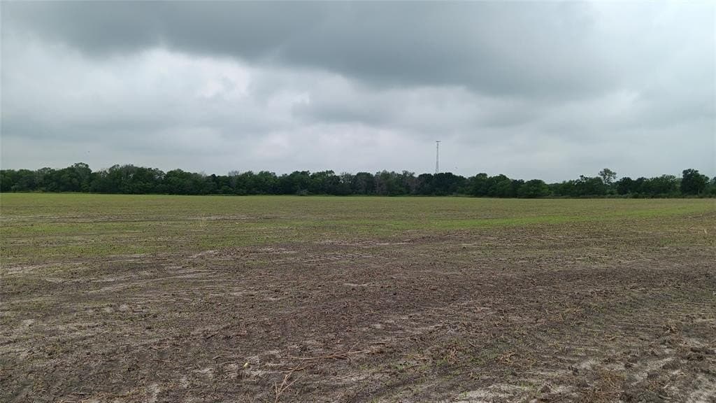 58.1 acres in Falls County - photo 5