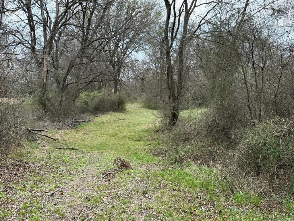 12 acres in McLennan County - photo 27