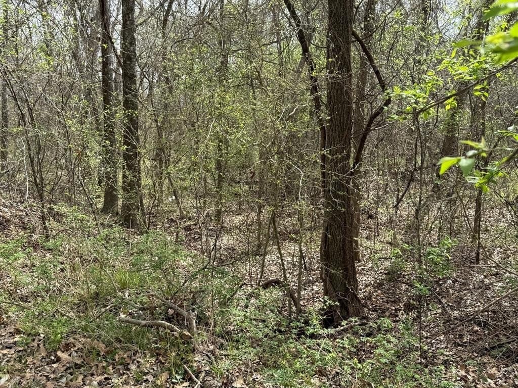 12 acres in McLennan County - photo 6