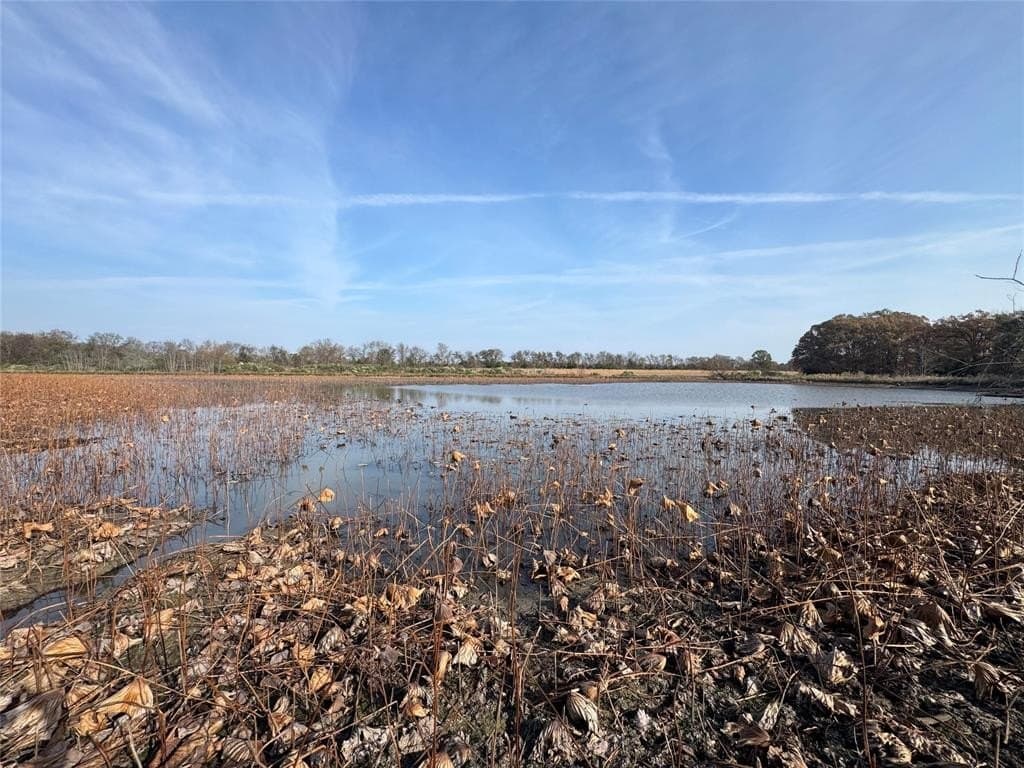 119 acres in Red River County - photo 7