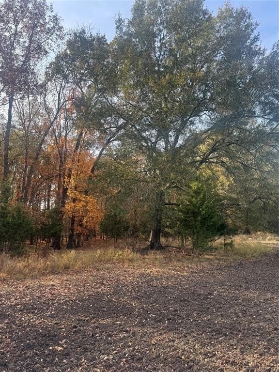 119 acres in Red River County - photo 14