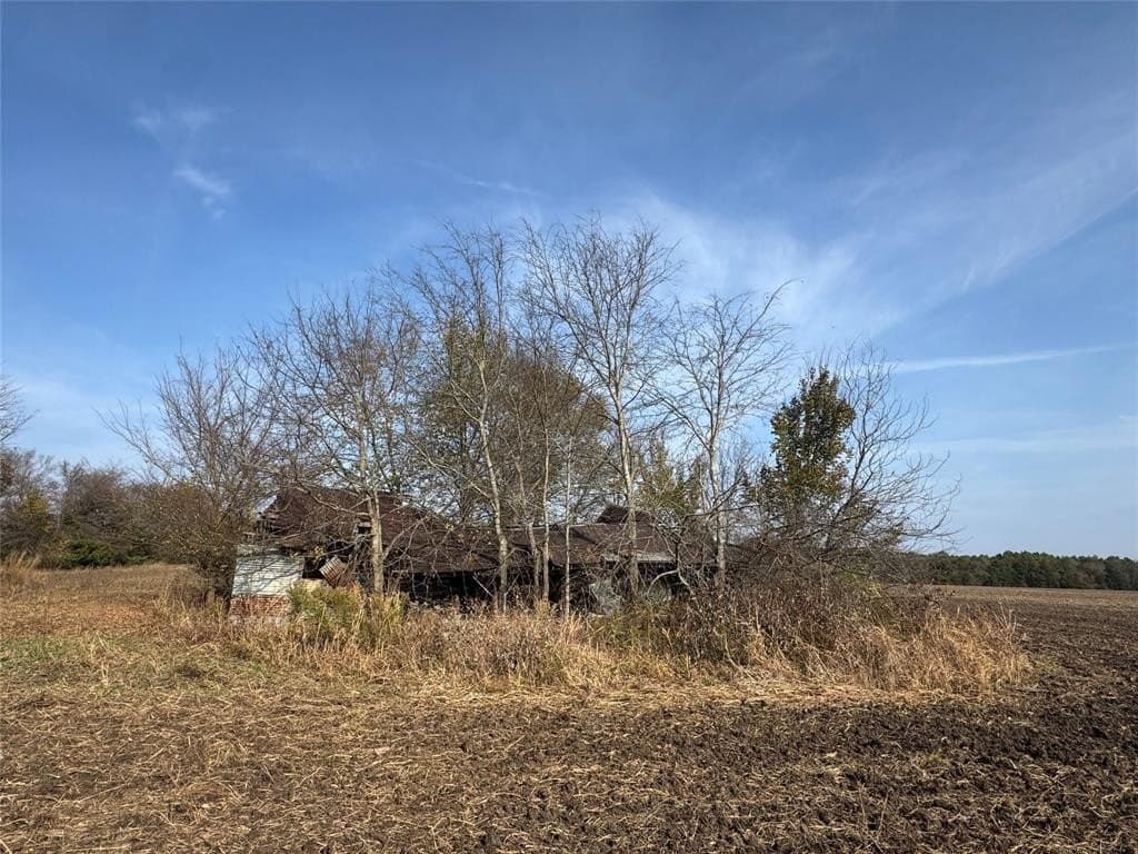 119 acres in Red River County - photo 20