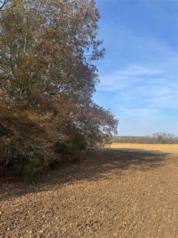 119 acres in Red River County - photo 17