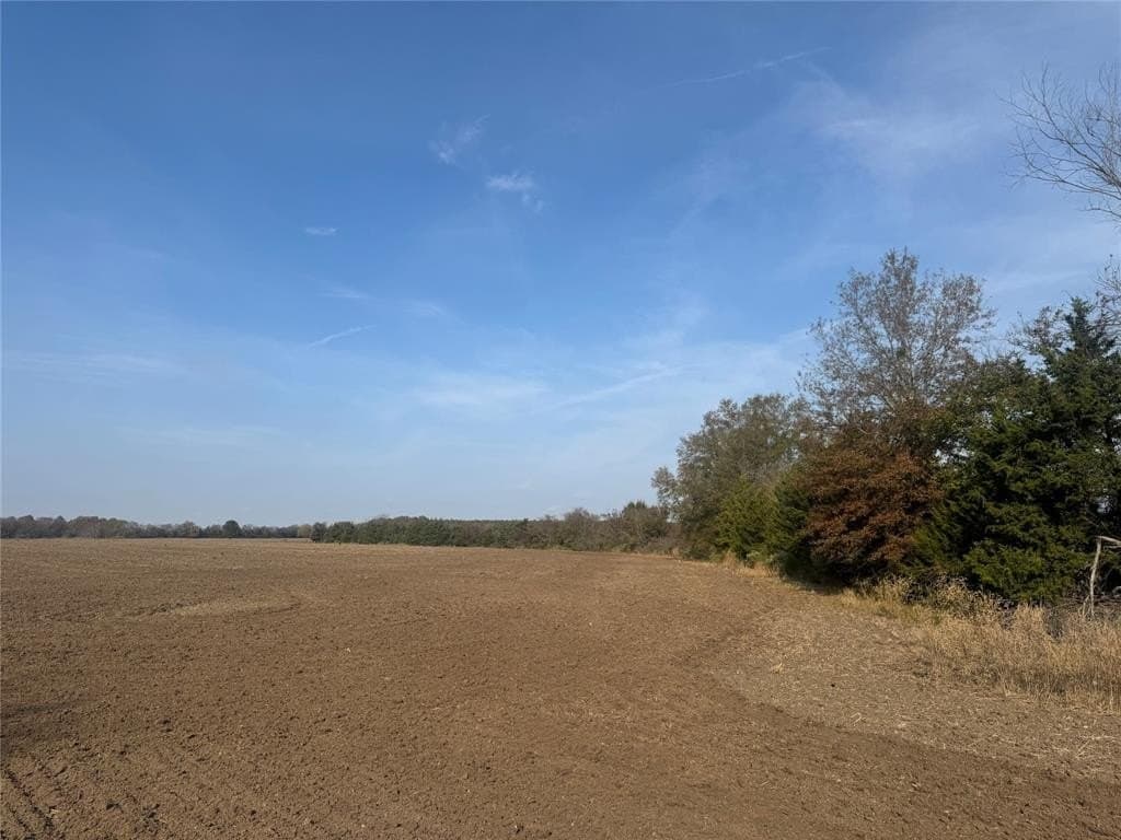 119 acres in Red River County - photo 12