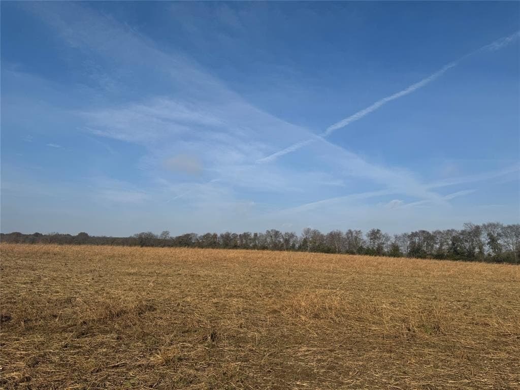119 acres in Red River County - photo 2