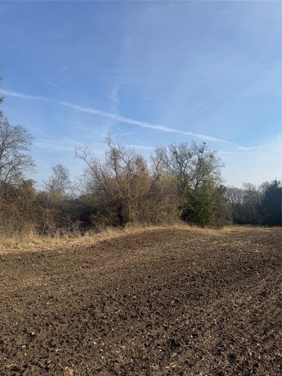 119 acres in Red River County - photo 9