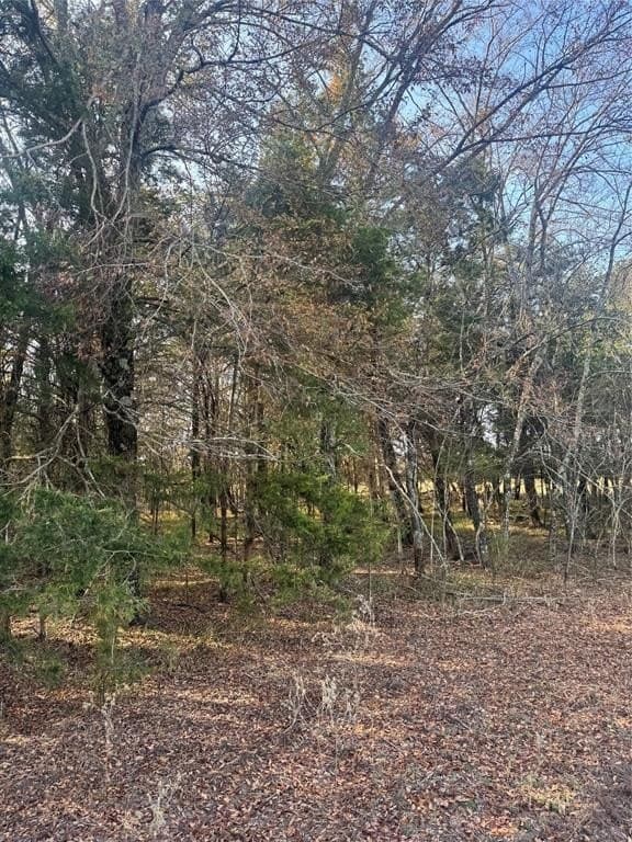 119 acres in Red River County - photo 13