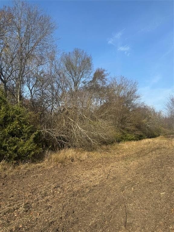 119 acres in Red River County - photo 19