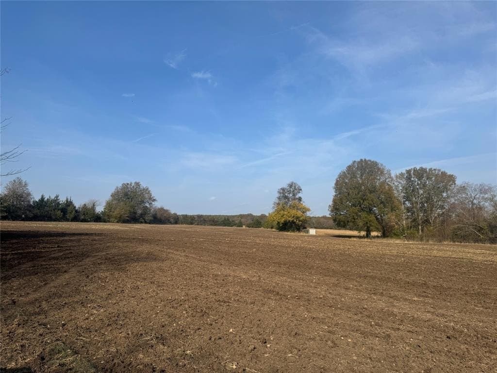 119 acres in Red River County - photo 10