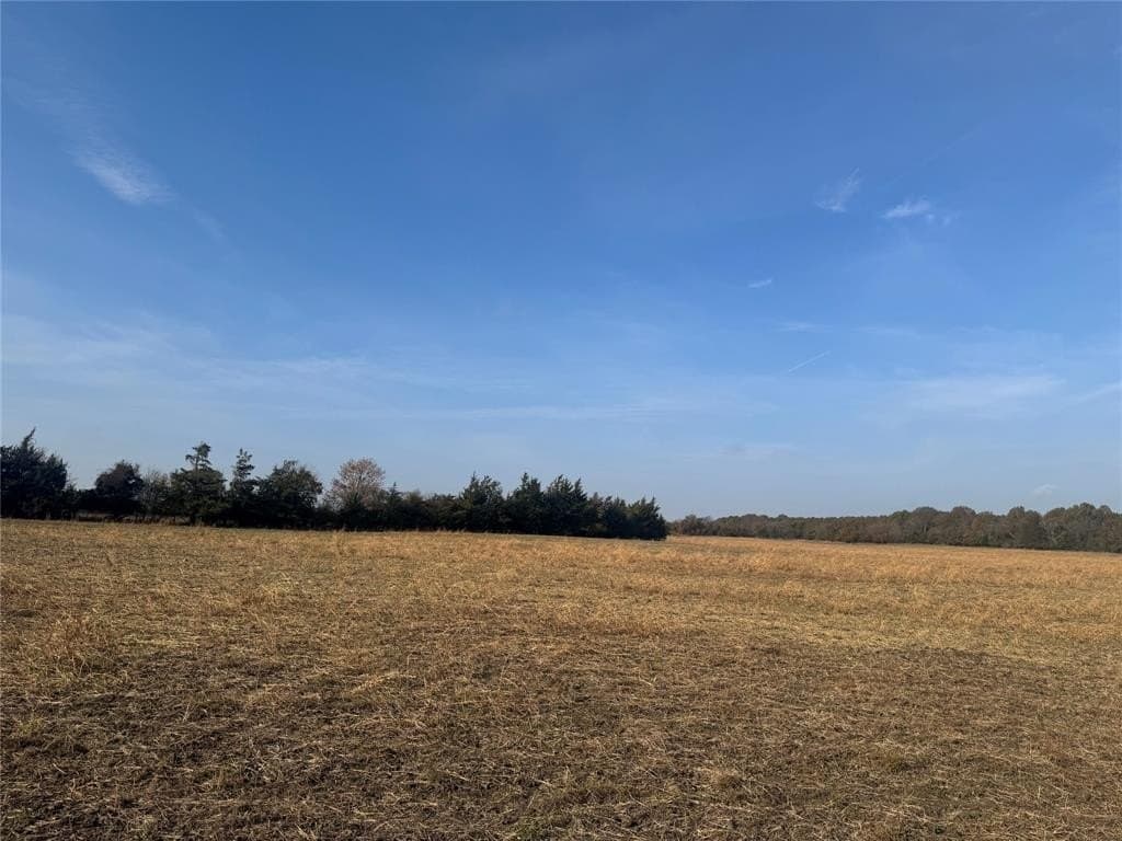 119 acres in Red River County - photo 8