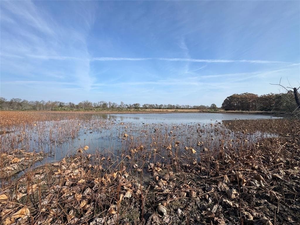 119 acres in Red River County - photo 6