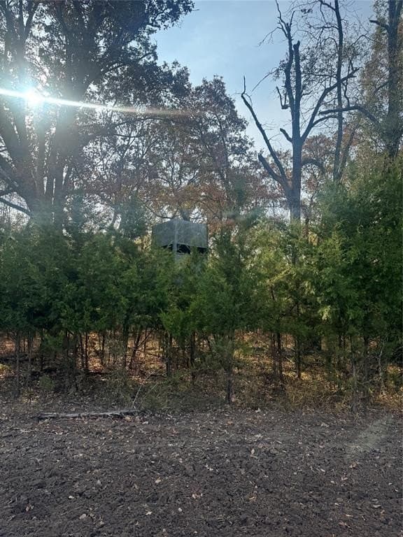 119 acres in Red River County - photo 16