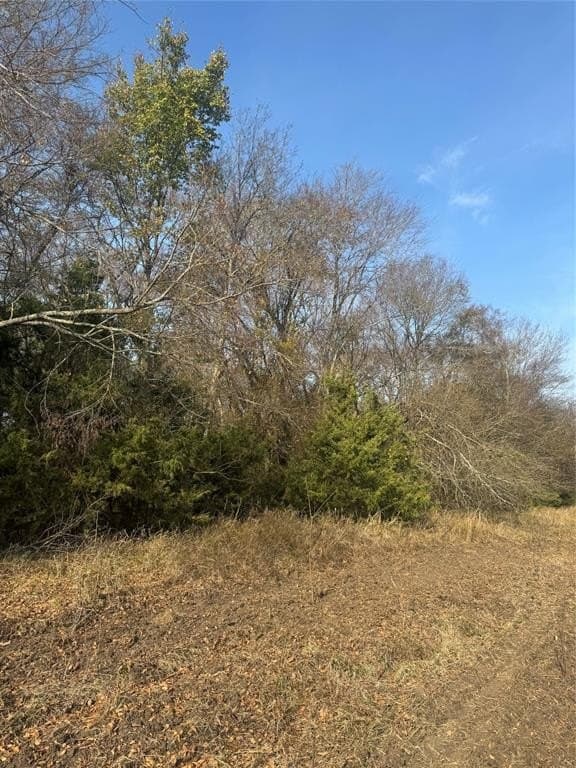 119 acres in Red River County - photo 18