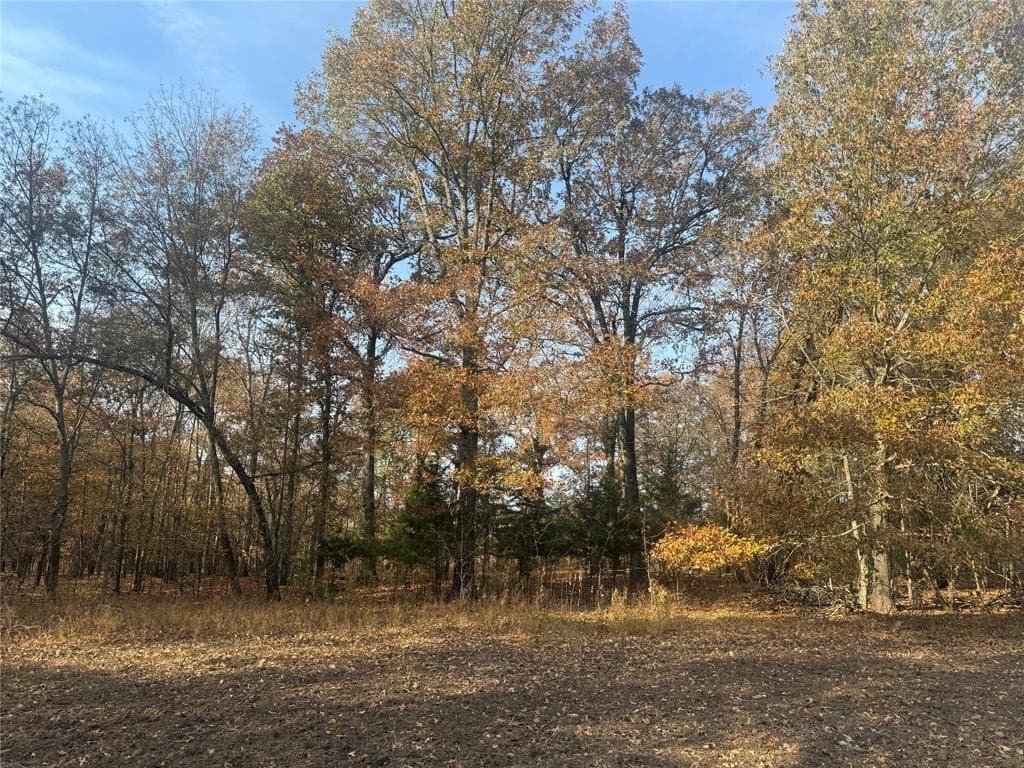 119 acres in Red River County - photo 4