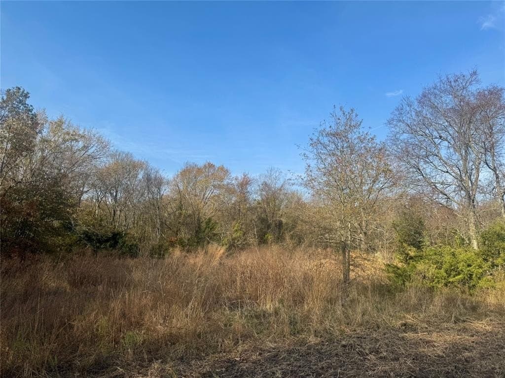 119 acres in Red River County - photo 15