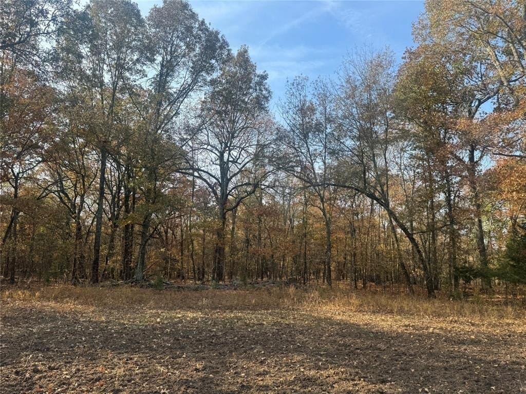 119 acres in Red River County - photo 3