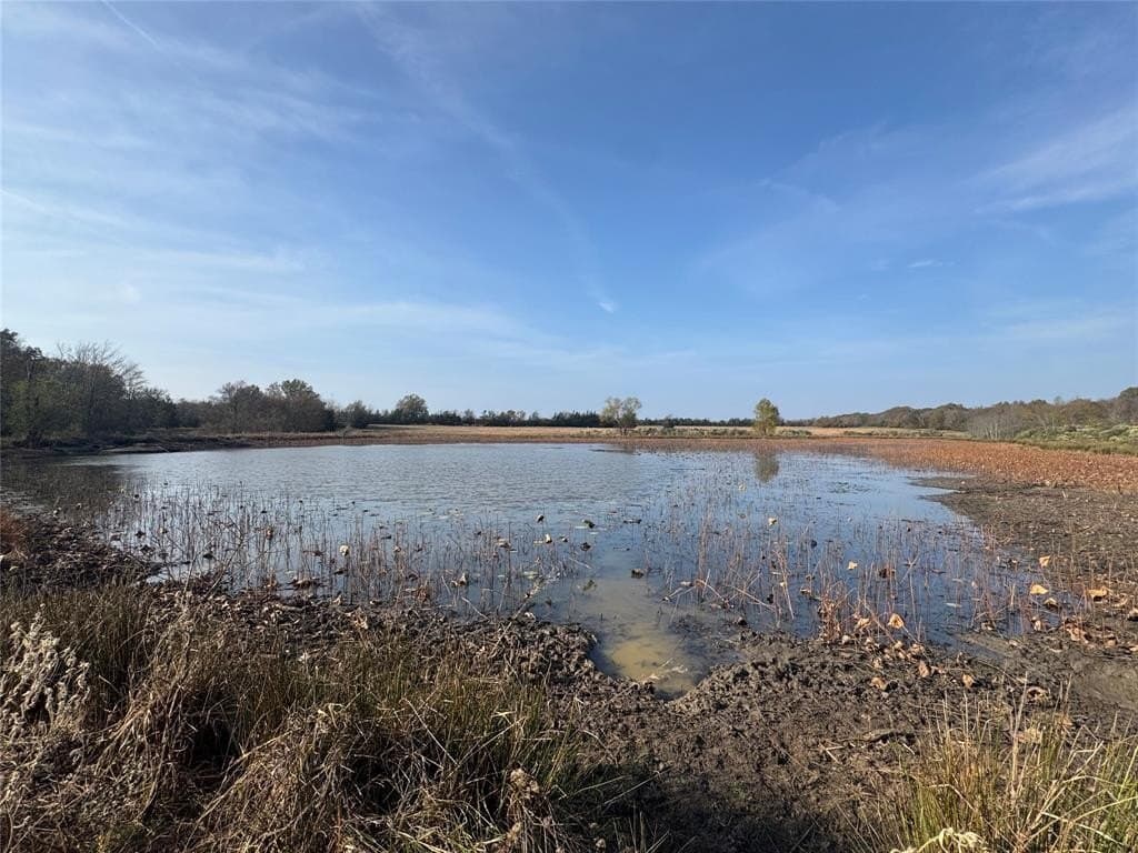 119 acres in Red River County - photo 5