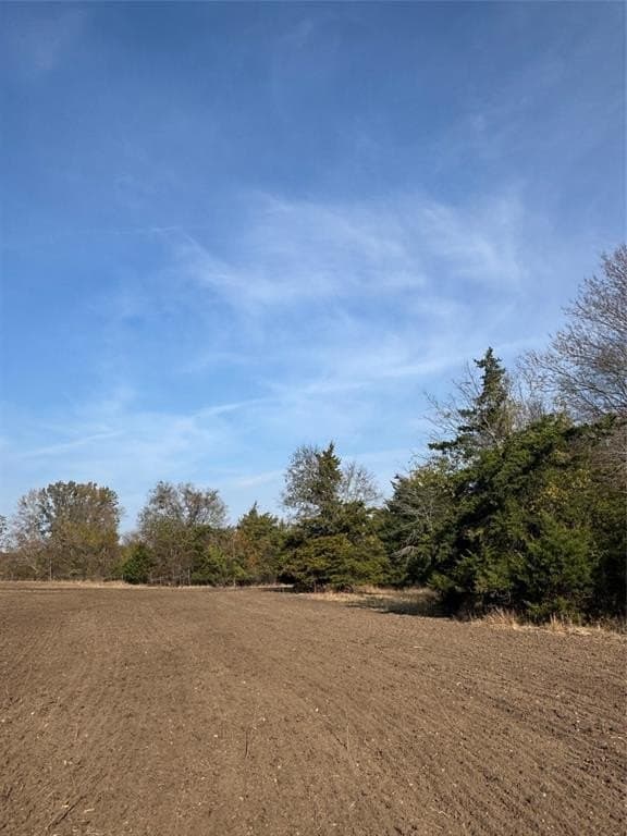119 acres in Red River County - photo 11