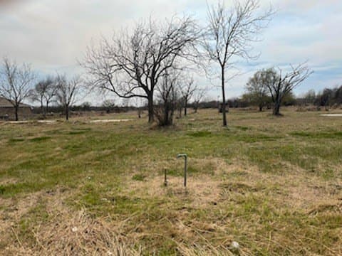 0 acres in San Patricio County - photo 3