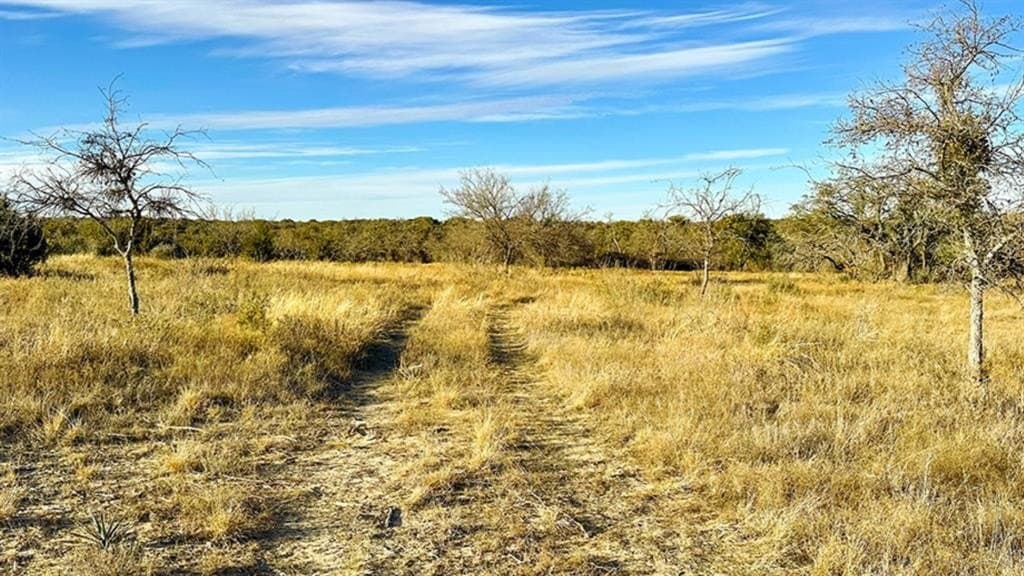 14.03 acres in Comanche County - photo 8