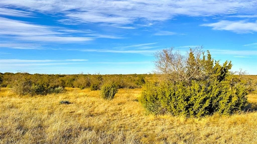 14.03 acres in Comanche County - photo 7
