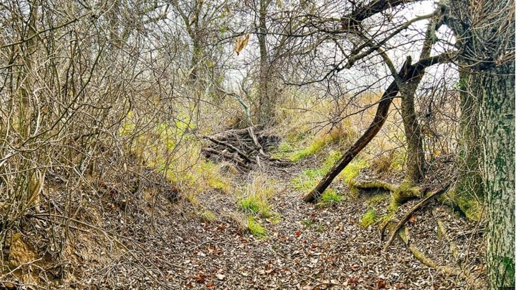 14.03 acres in Comanche County - photo 3